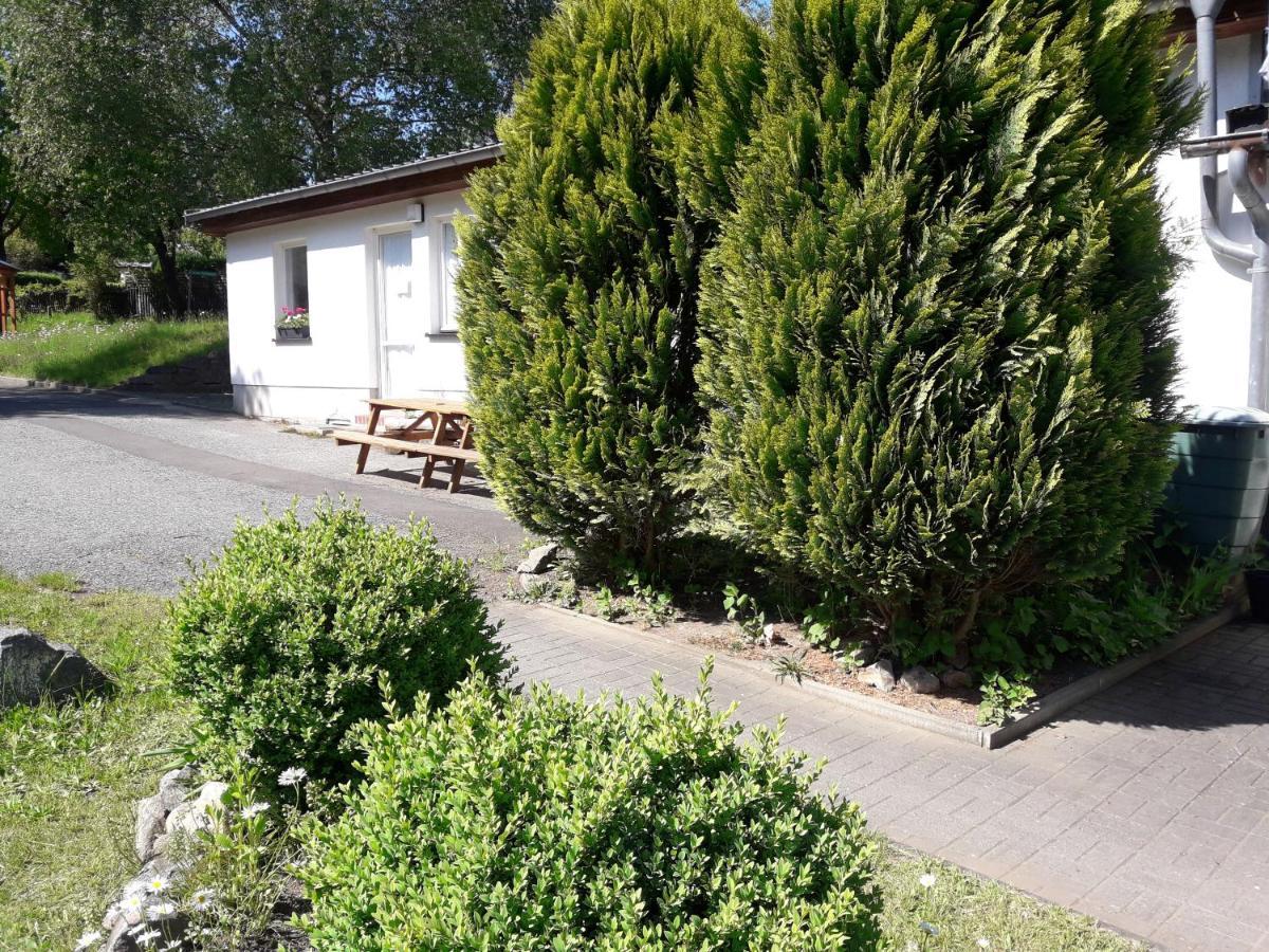 Ferienwohnung Birkenhof Ashram Shanti Zimmer Zittau Exterior foto